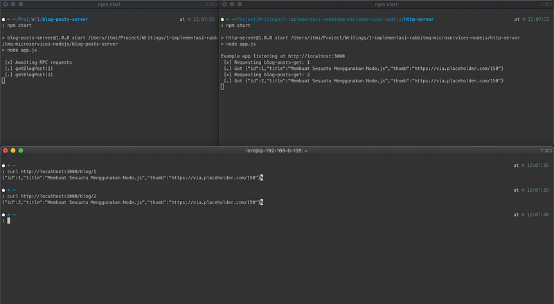 Program execution results